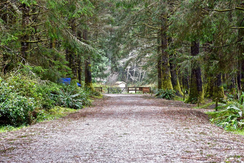 The Bamfield Motel Salmon Beach Exterior foto